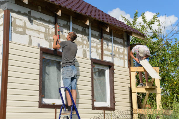 Affordable Siding Repair and Maintenance Services in Cedar Rapids, IA